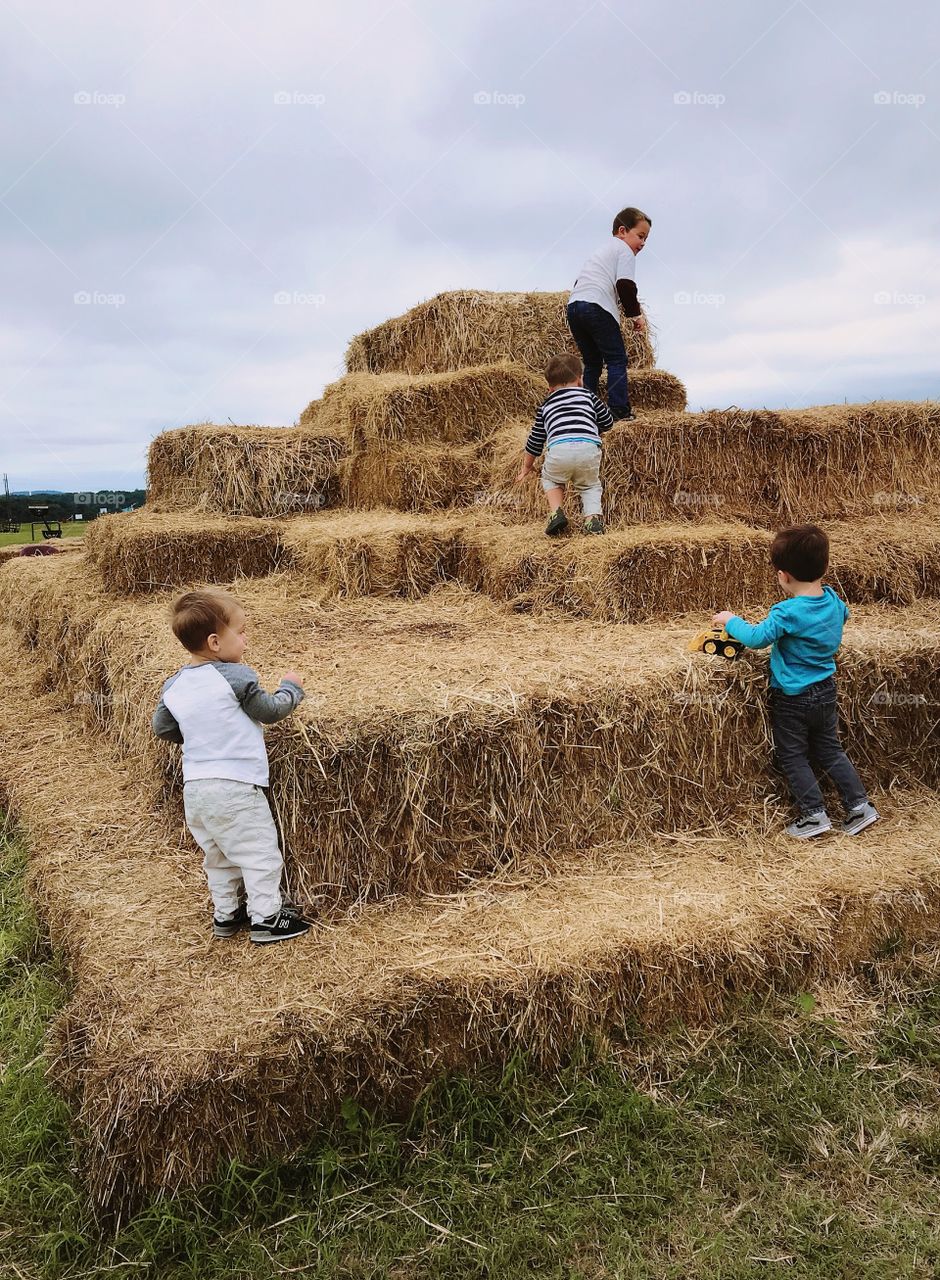 Harvest haystack fun