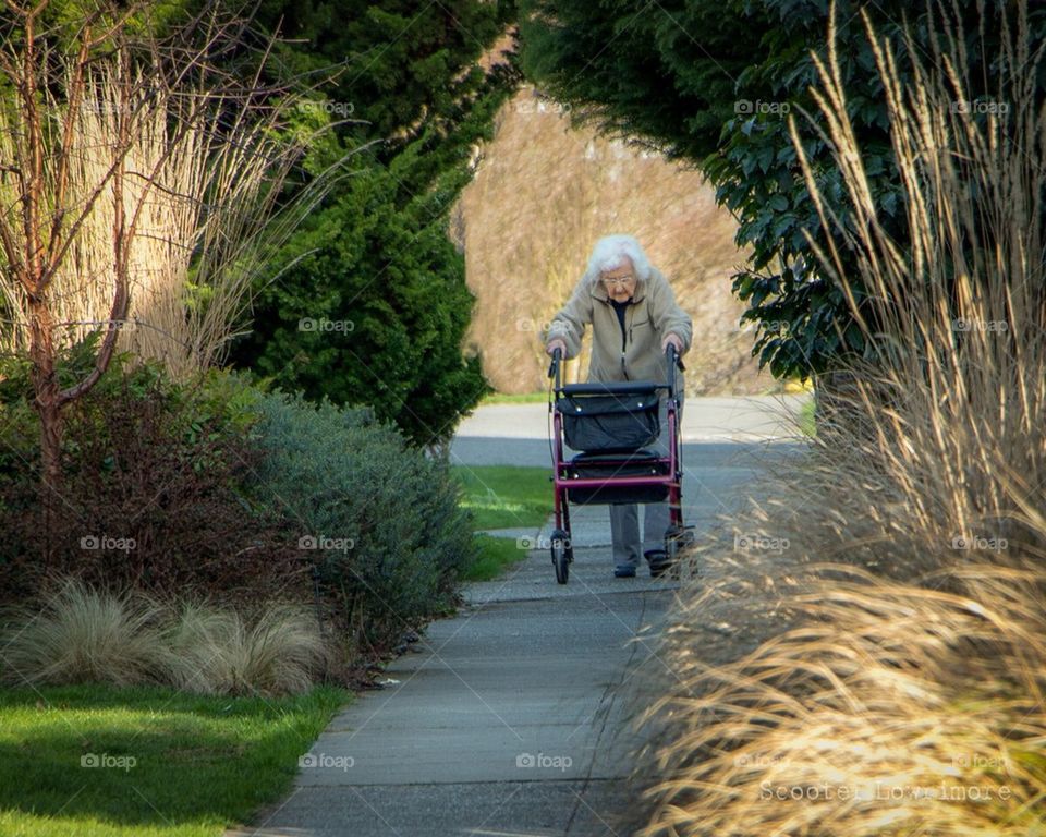 Old Woman with a Walker