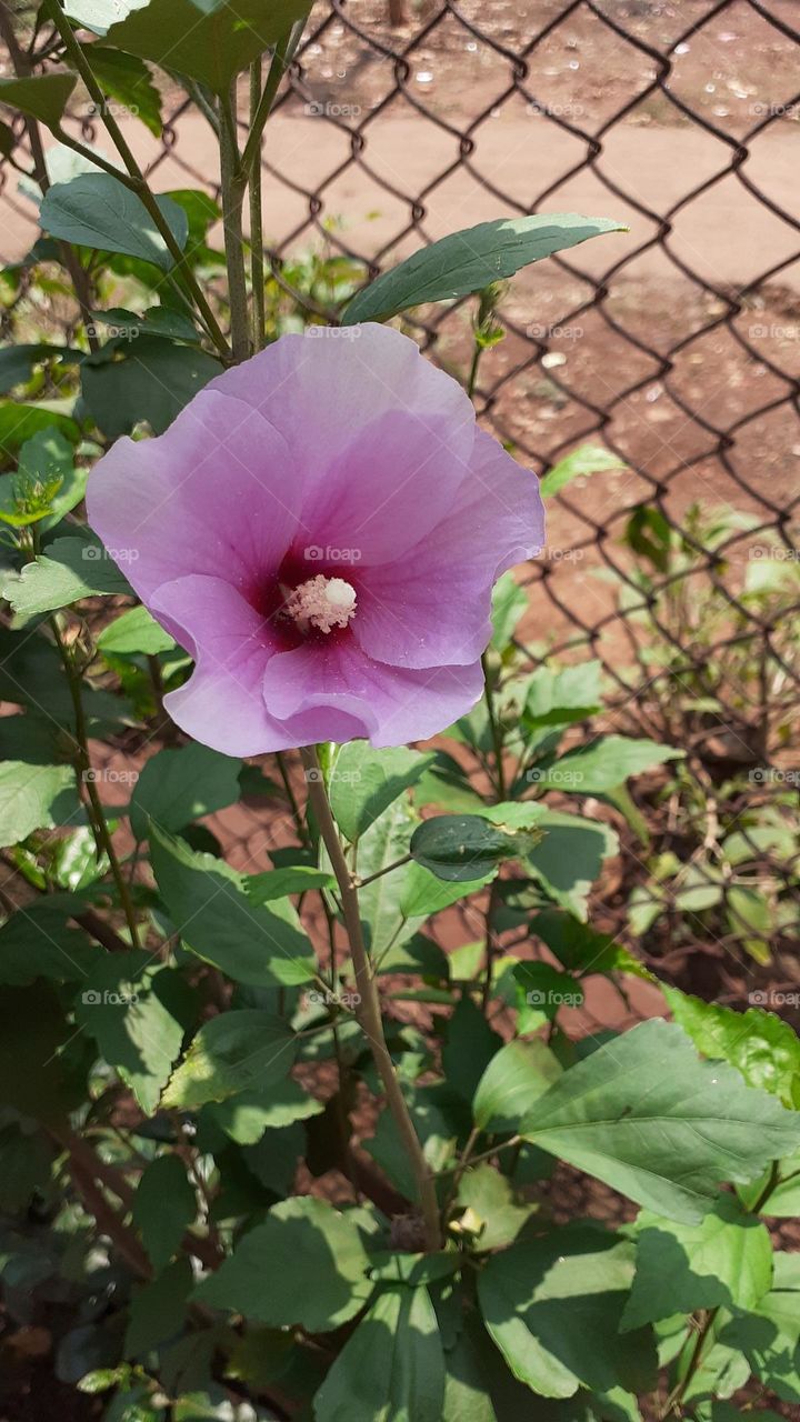 Cherish love and growth❤