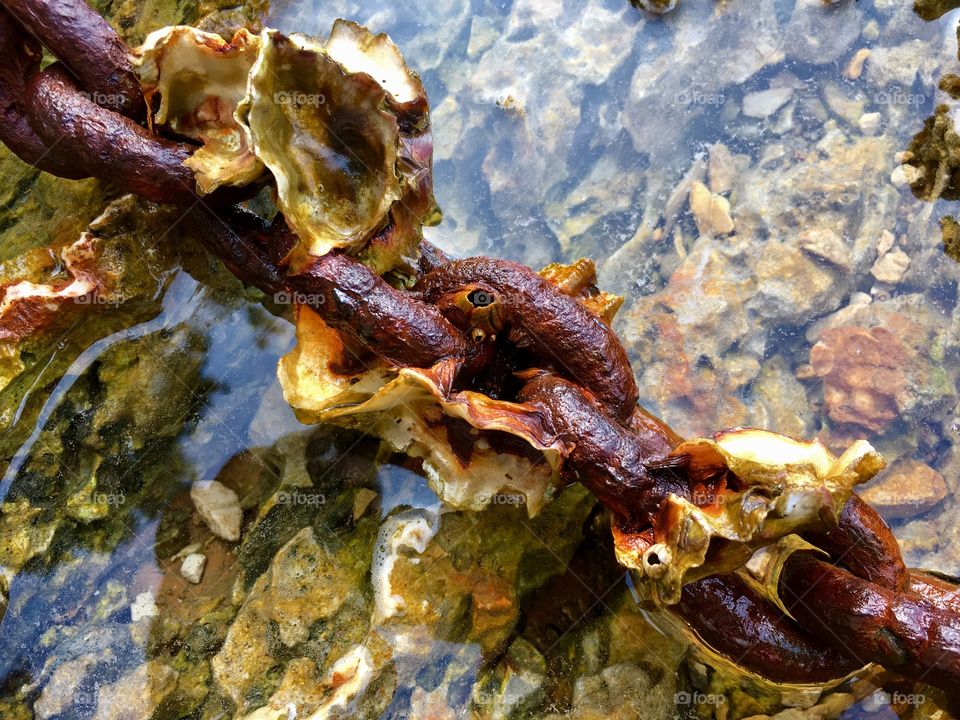 detail of old rusty chains of mooring