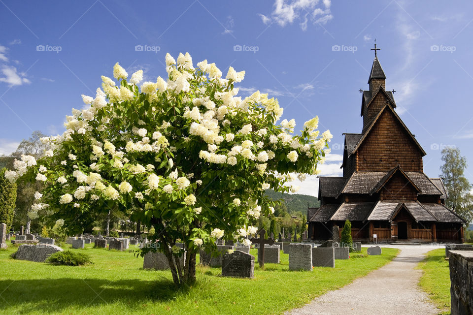 Heddal Stavkirke, Norway