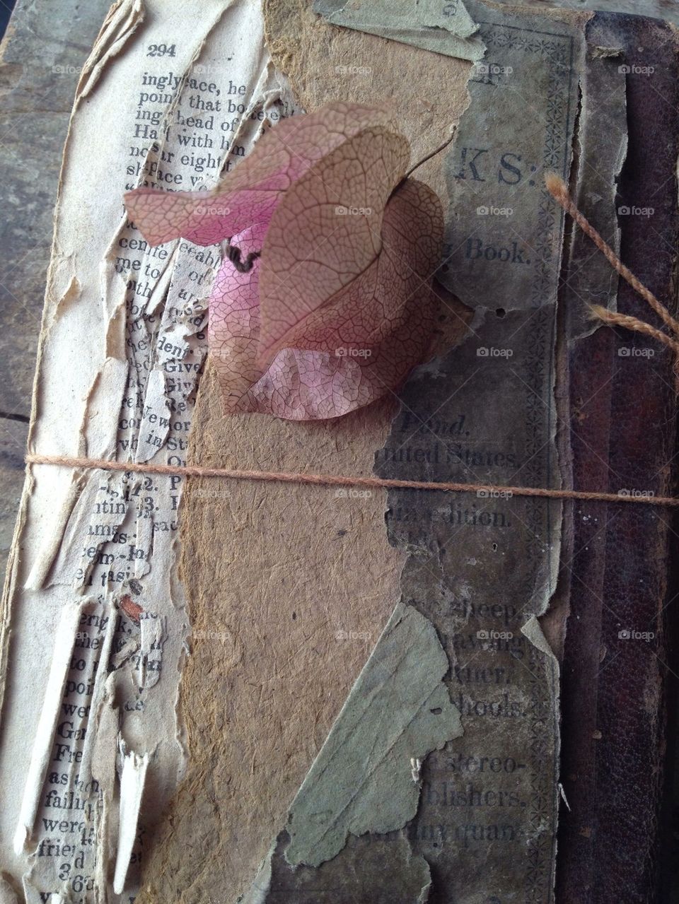 Damaged book with bougainvillea
