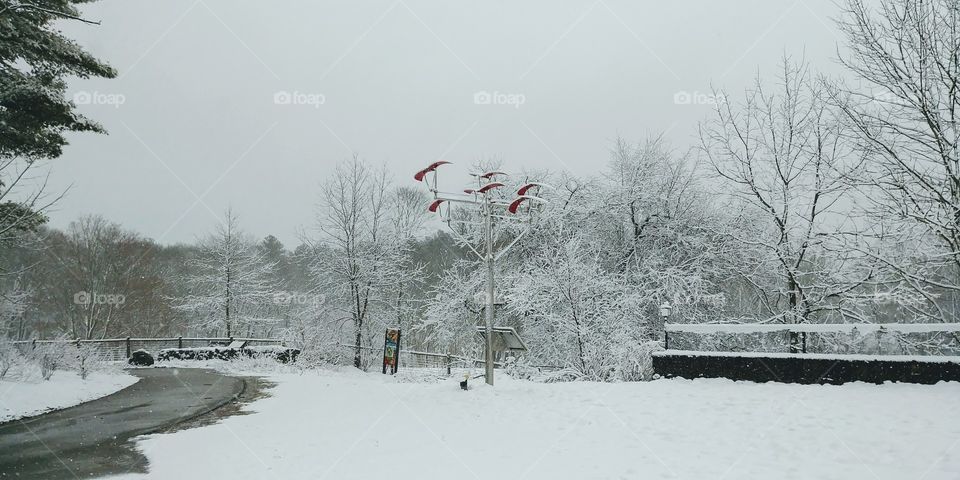 An I
Snowy Landscape