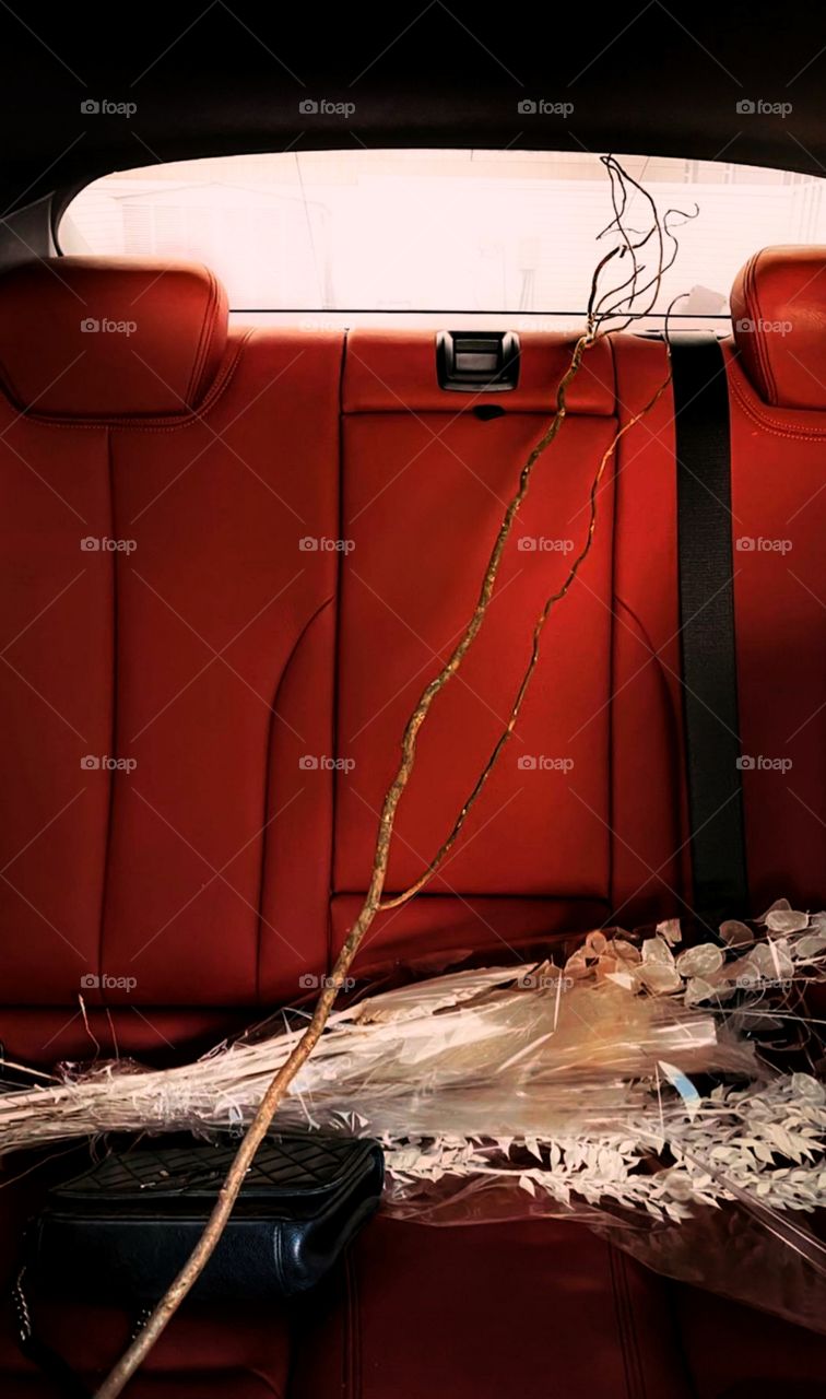 There is no Passion to be found in settling for a life that is less than the one you are capable of living. And that's what I feel when I see RED, the ONE color that's filled with Passion.❤🔥