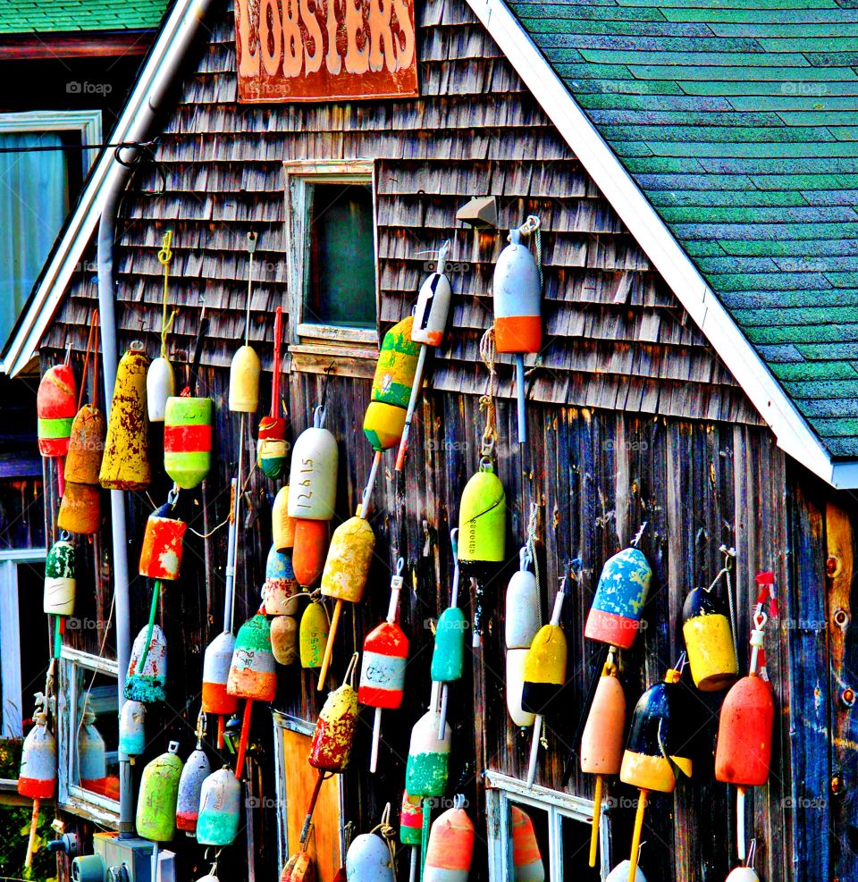 Clash of colors - Colorful lobster buoys - helps lobstermen locate their traps 