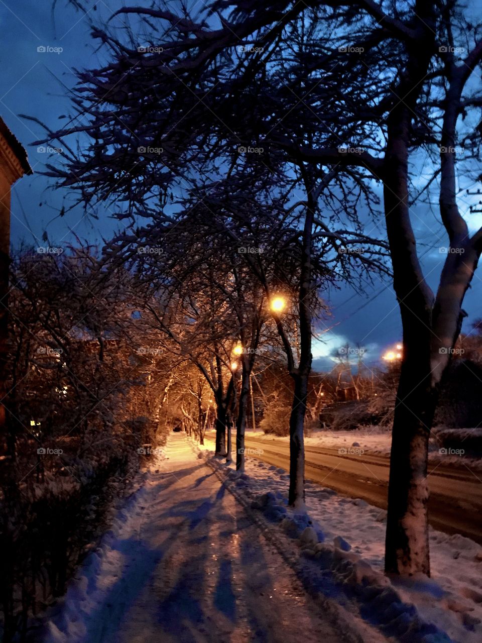 evening on a winter street