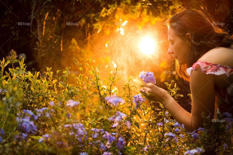 Beautiful back lit sunset light with spring flowers and woman picking flowers