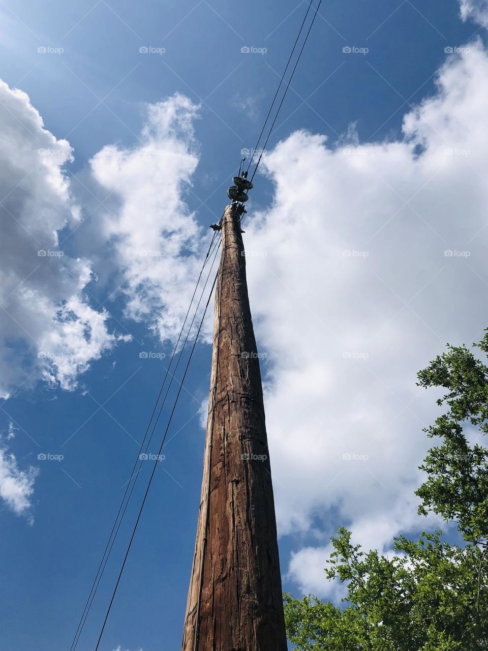 From the ground up! The one electric pole inside the high fence is our lifeline to the outside world. 