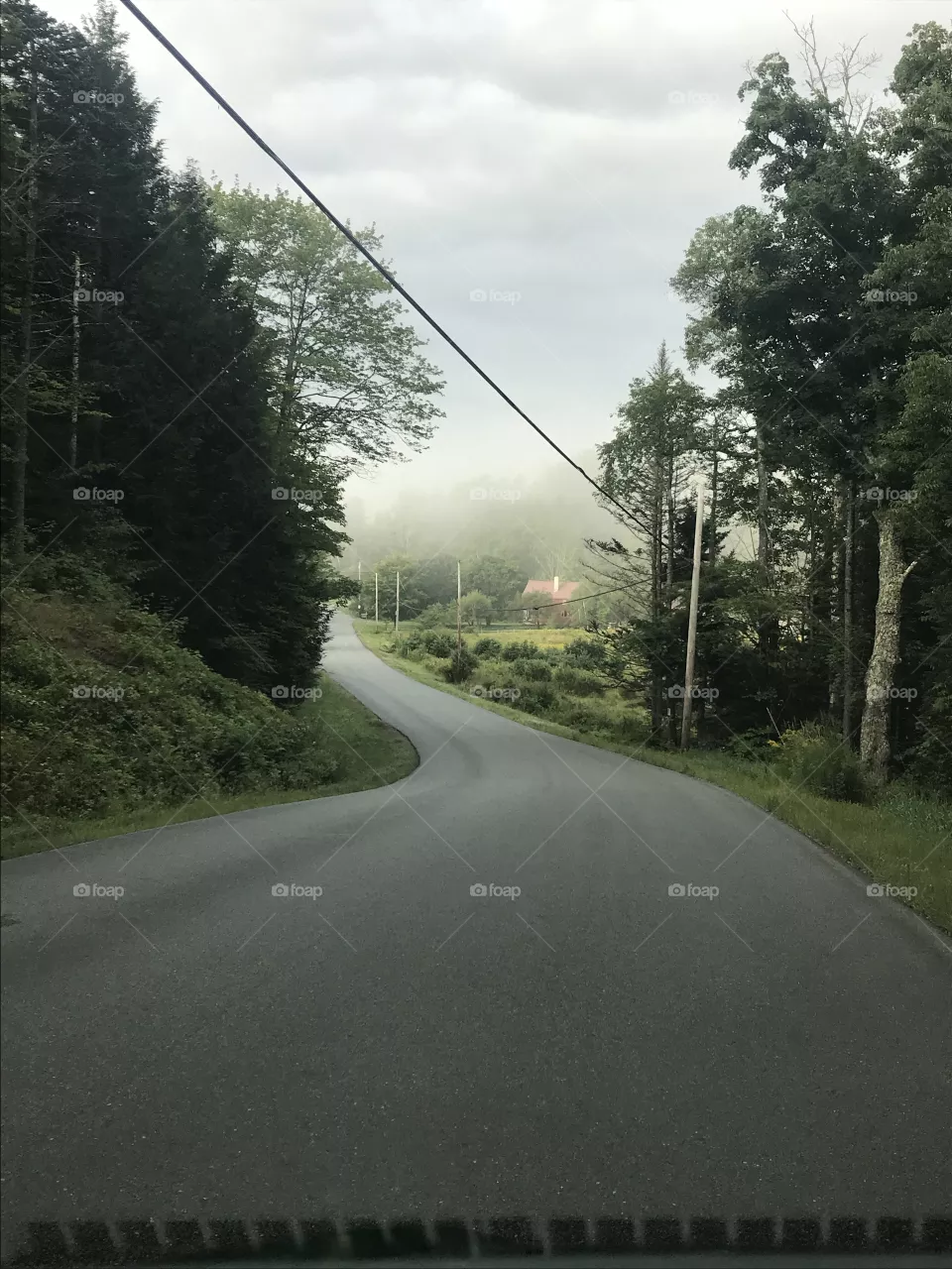 Morning Fog