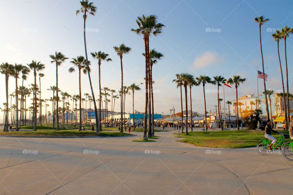 Venice Beach 