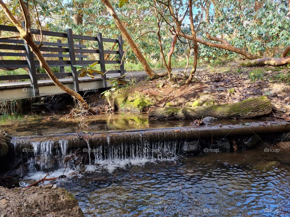 Bridge over water