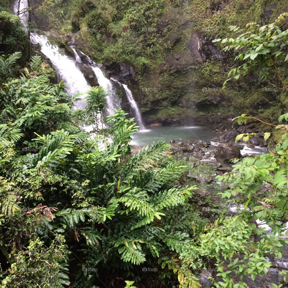 Waterfalls of Hana