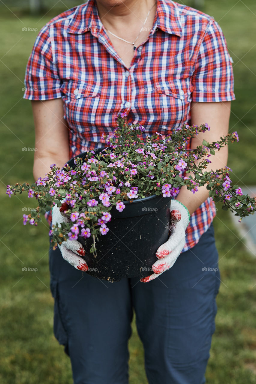 Woman holding a flower pot with flowers working in backyard garden. Candid people, real moments, authentic situations