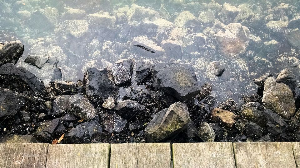 Puget Sound dock view