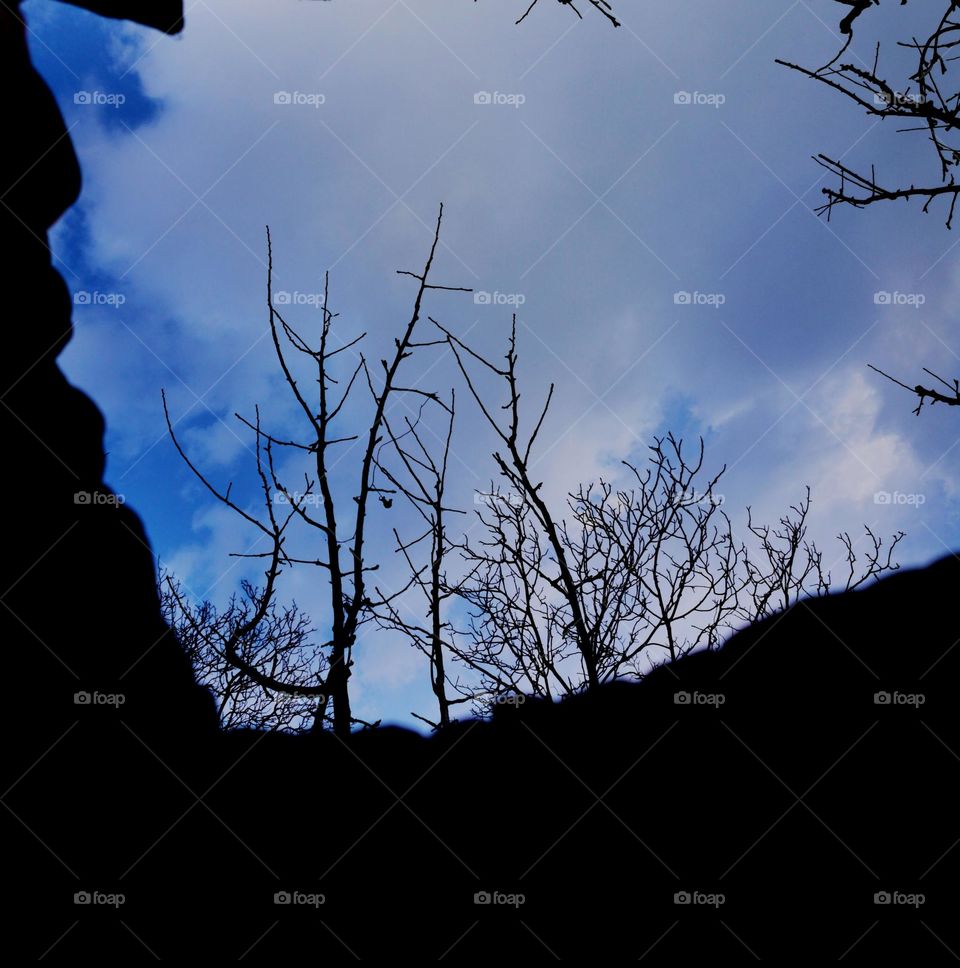 potrait of evening sky