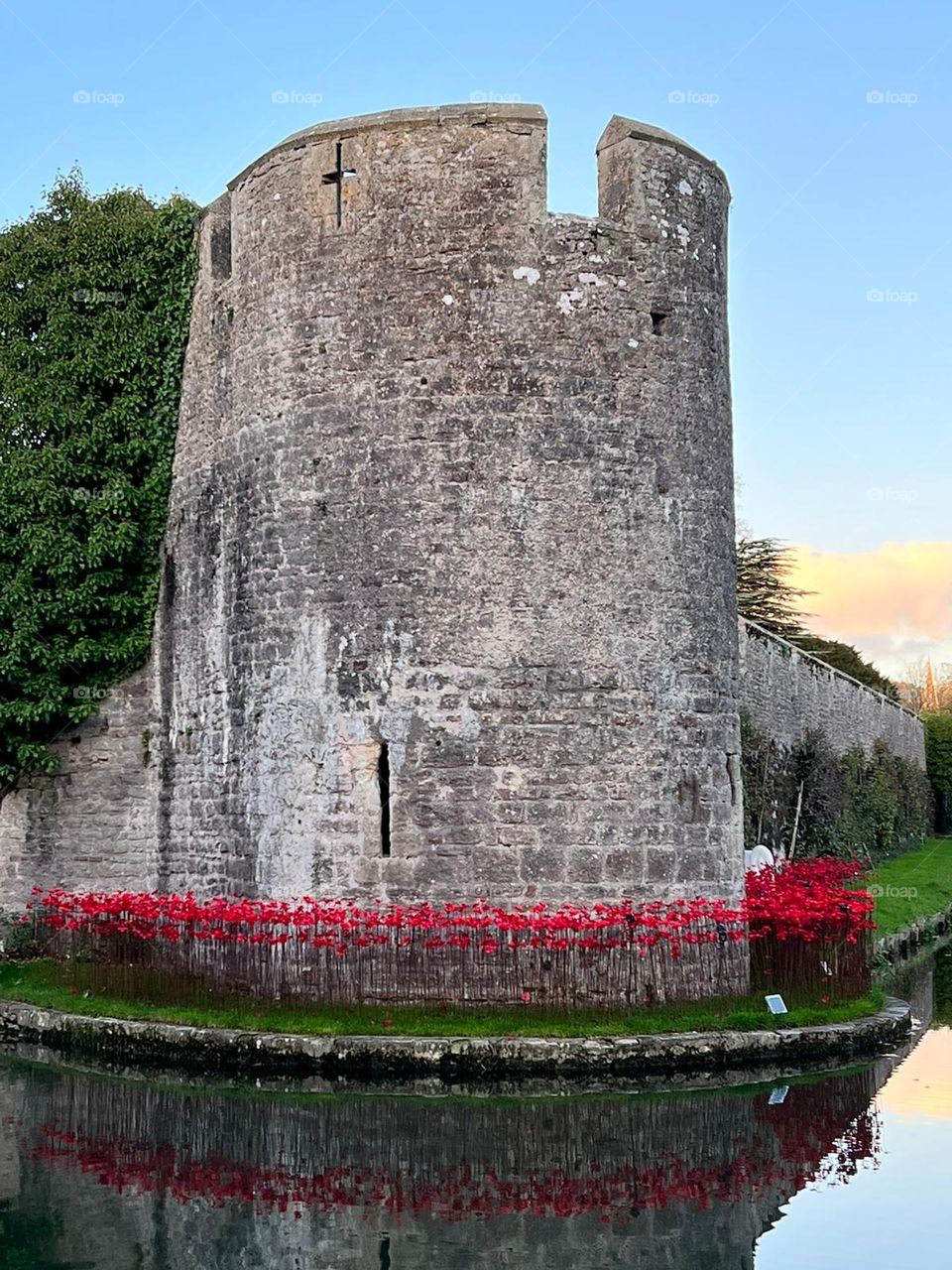 poppy display surrounding the moat