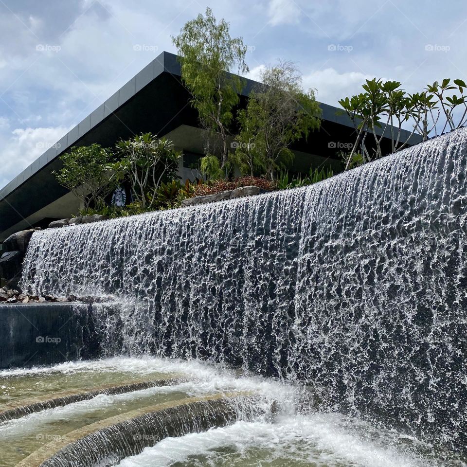 Summertime in a park