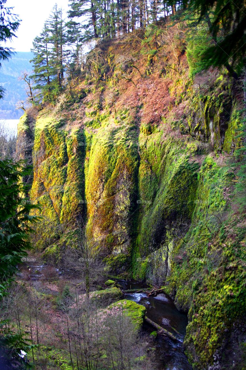 Columbia River gorge