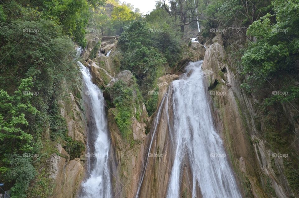 Waterfall, Water, Wood, Nature, River