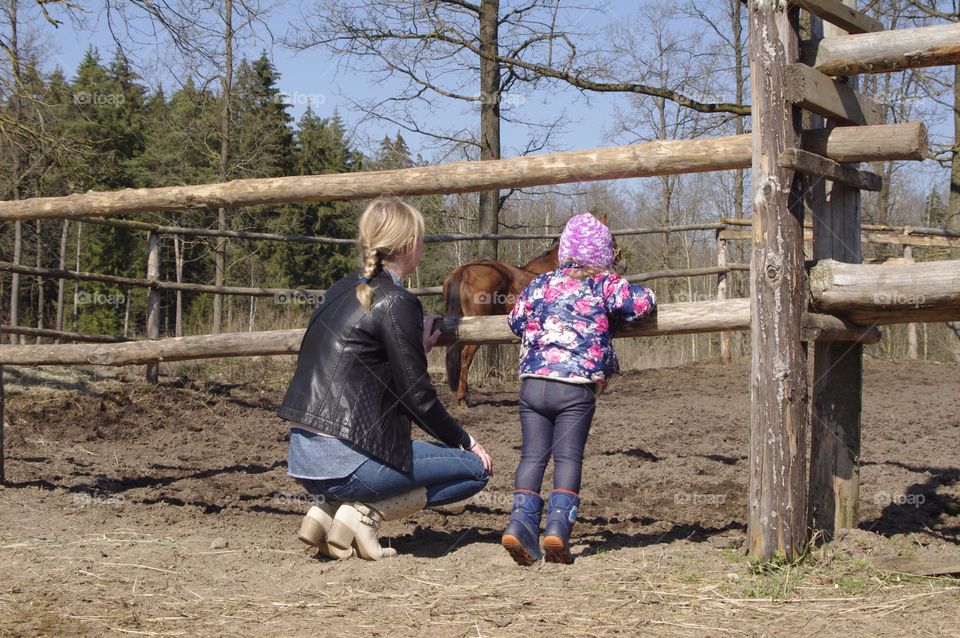 girl looking at a horse