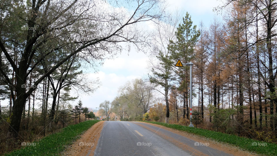 a road in autumn