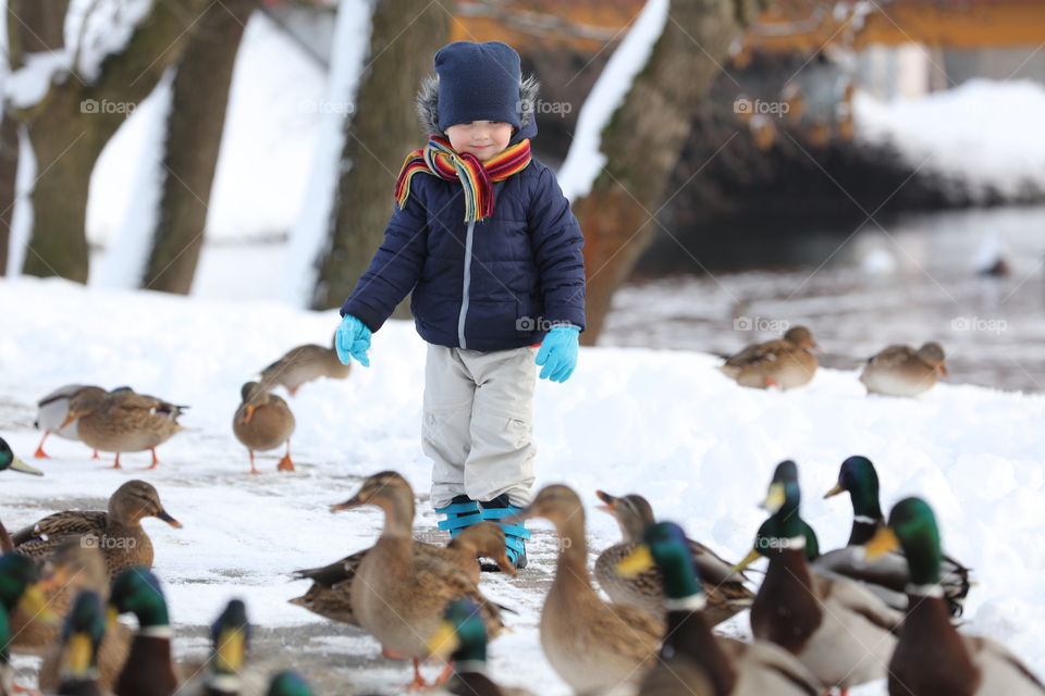 little boy feeds birds winter