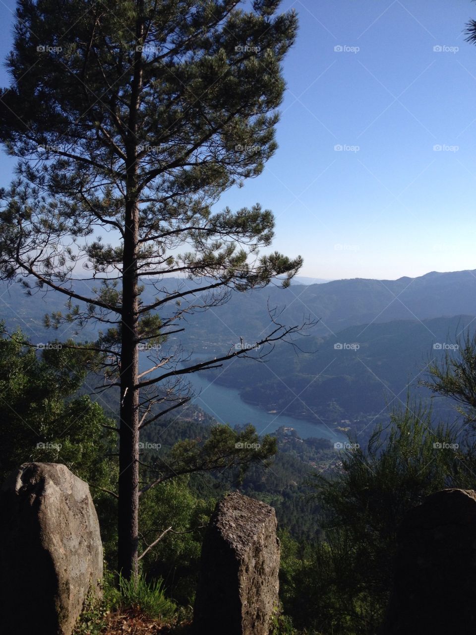 Nature, trees, mountain and river