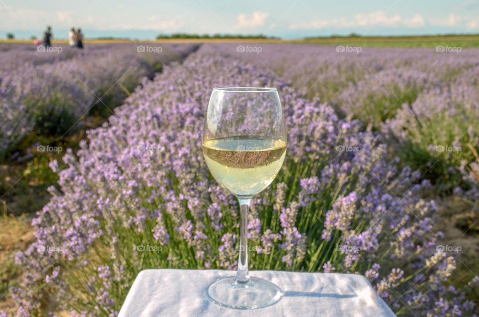 A glasse of Wine in lavender field