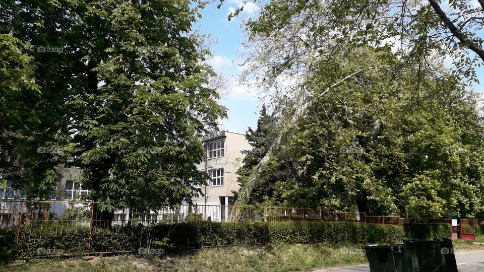 In this picture you can see a lot of nature and my school is there, too! I went to it during the state of emergency because of virus COVID-19. I can't wait to see all my friends and teachers!