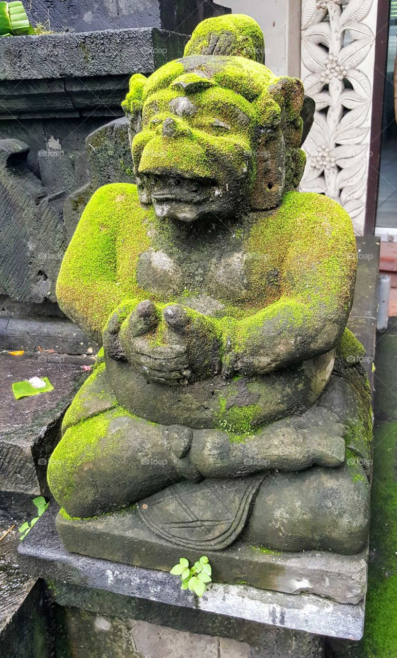 mossy statute