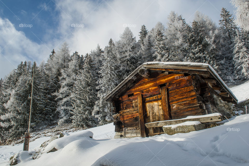 Low angle view of wooden cabin