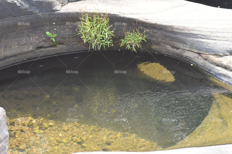 On top of a Waterfall