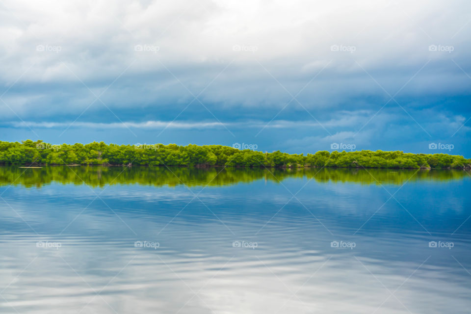 Gulf Refections 