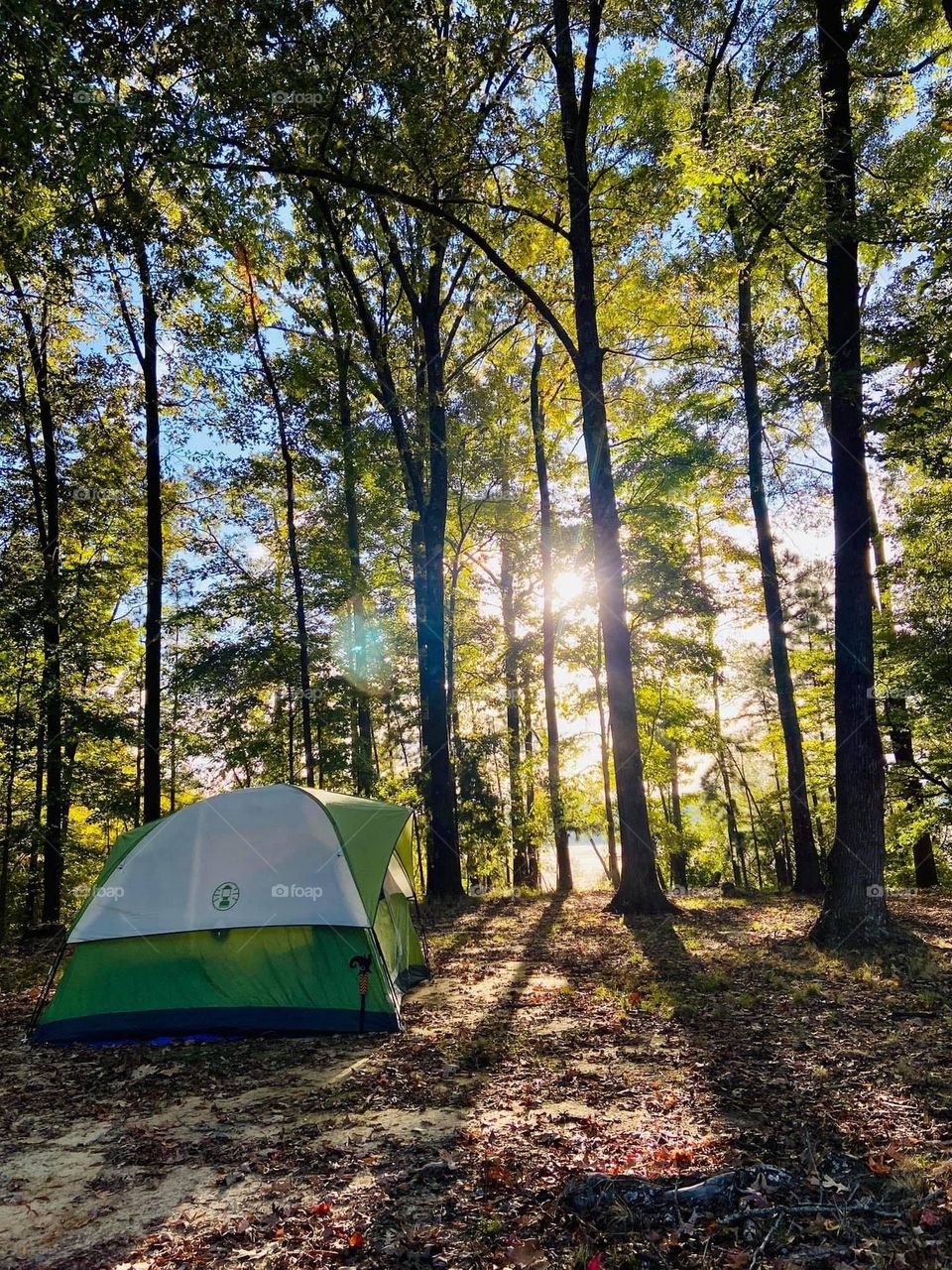 Summer Camping