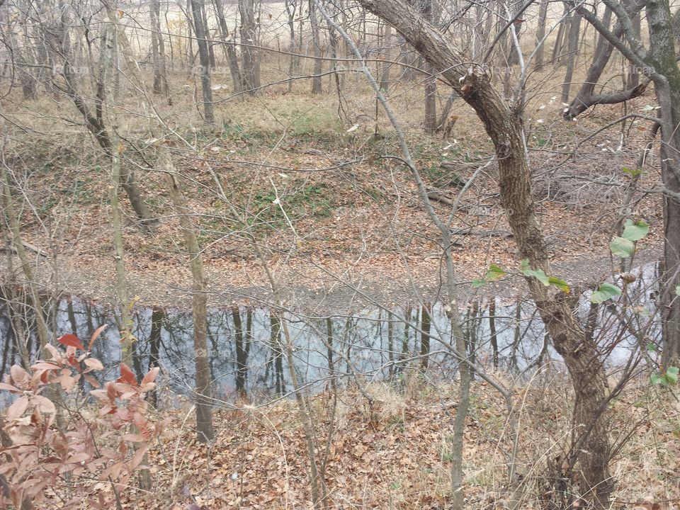 creek reflecting