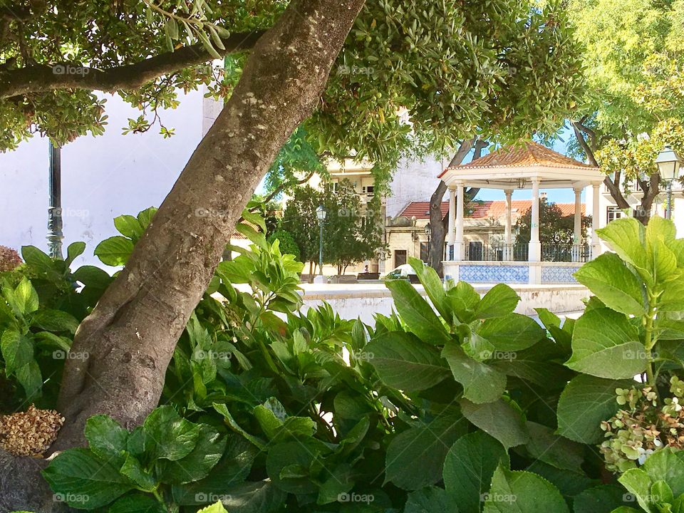 Park's Bandstand 