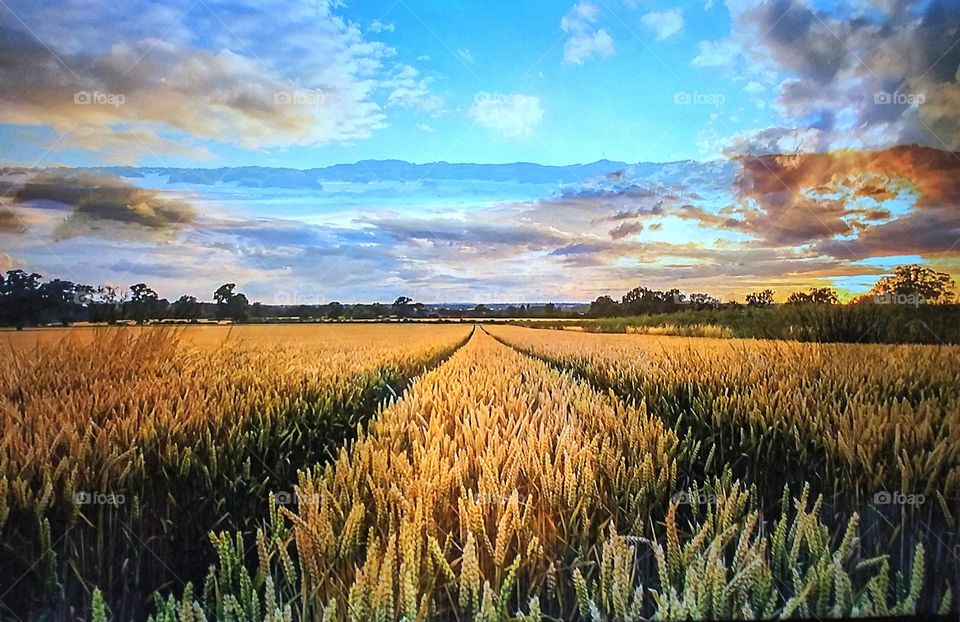 Autumn rain reflections