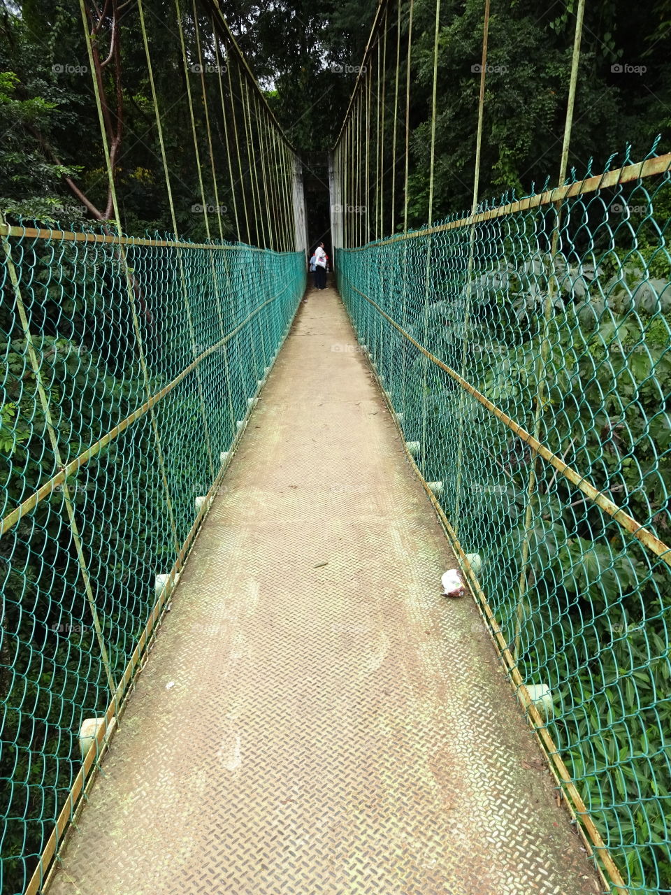 Bridge green