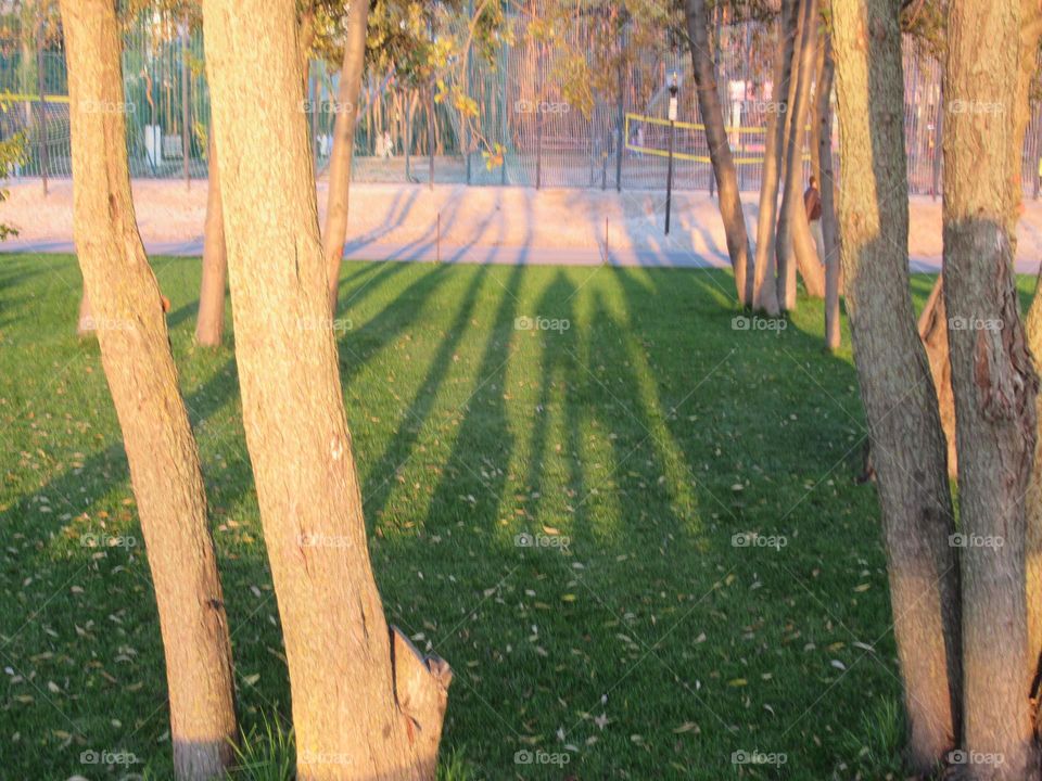 rest in the park, in the city, autumn, october