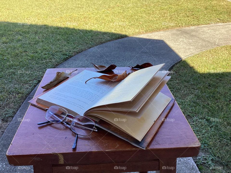 Booking,libro de lectura con hojas de otoño 