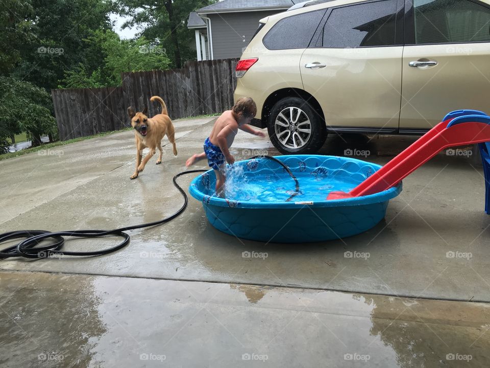 Young boy enjoys pool and his dog enjoys watching