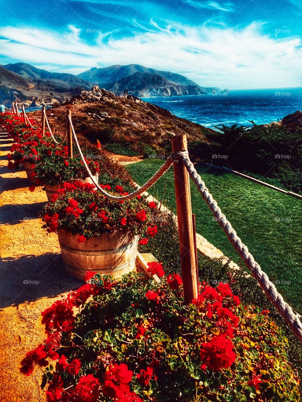 Stunning potted geraniums lining the patio at Rocky Point Restaurant off Highway1 in Ca. Spectacular view of rugged coastline and radiant Pacific Ocean. 