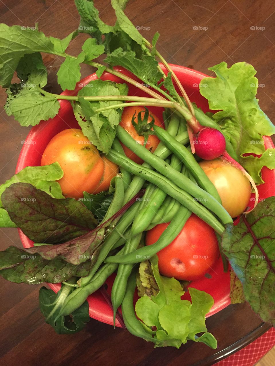 Homegrown green beans, lettuce, beet greens, red radishes and red tomatoes all from my garden and very colorful.