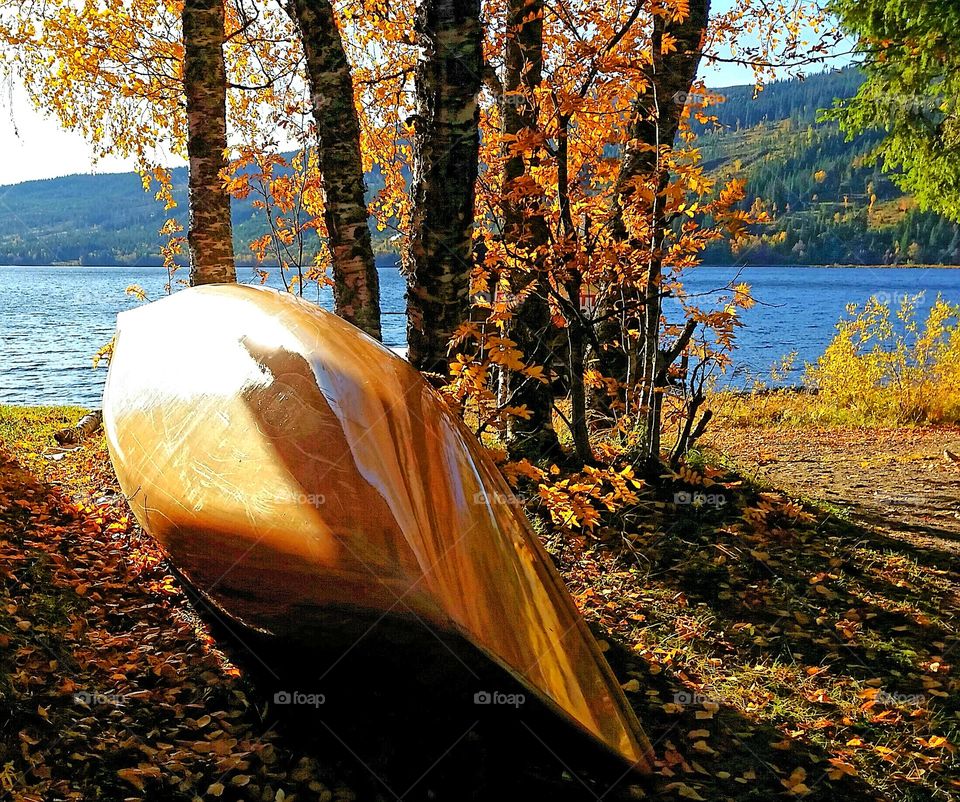 Autumn at the lake