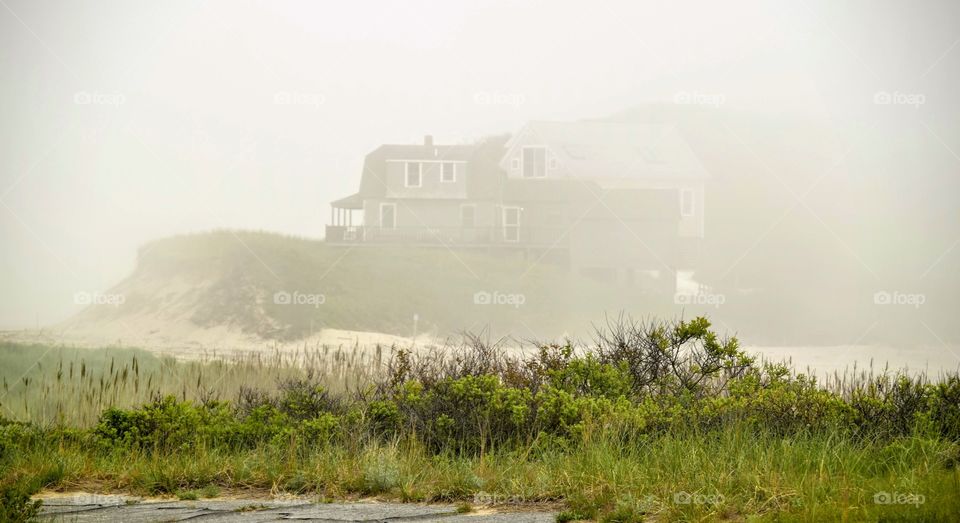 Fog, Water, Mist, Nature, Landscape