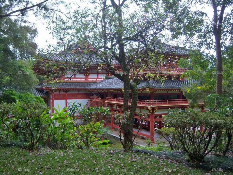 Buddhist Temple