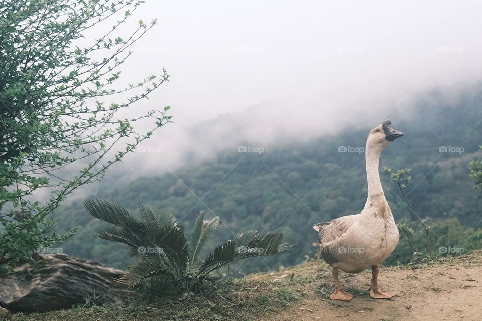 Life and art in visual impressions