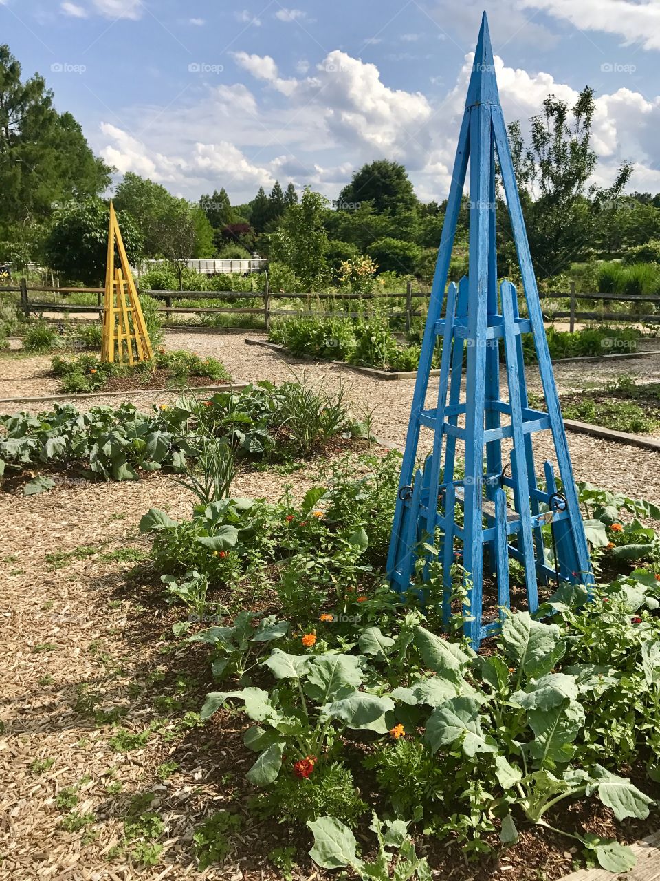 Yellow & Blue Garden Structures