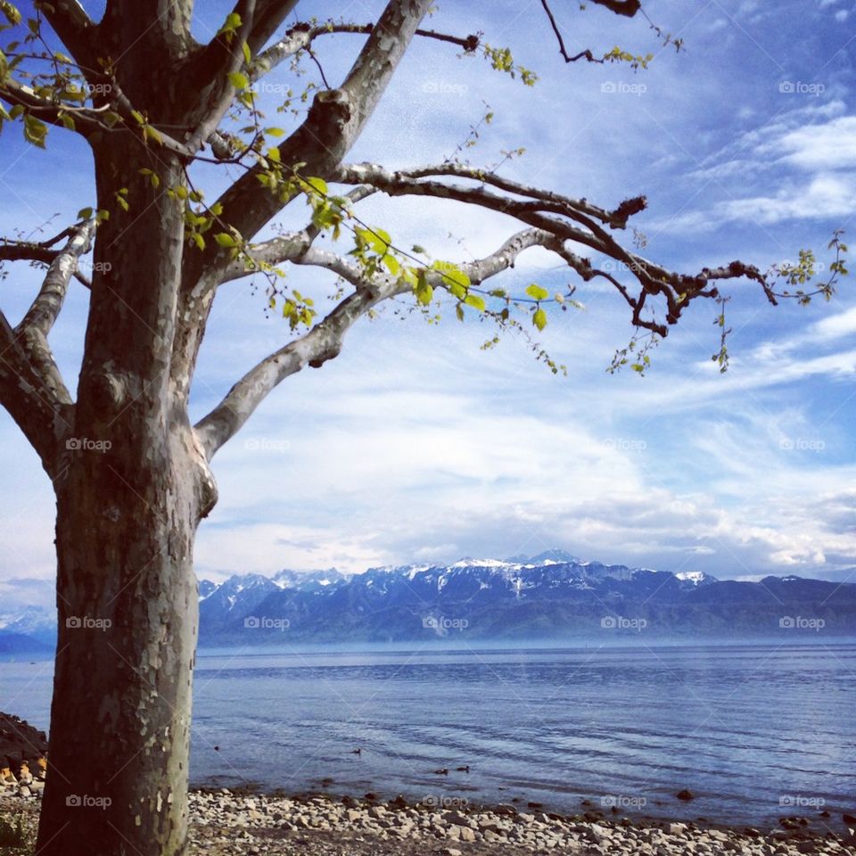 Lake leman