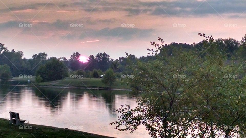 ariel foundation park